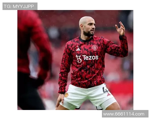 当前法国足球明星的崛起与影响力分析及未来展望 当前法国足球明星的崛起与影响力分析及未来展望