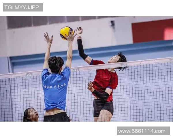 武汉排球队在全国排球配合排行榜中荣获第六名展现强劲实力与团队协作