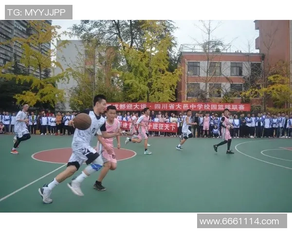 深度对话周磊篮球人生的启示与成长之路探讨 深度对话周磊篮球人生的启示与成长之路探讨