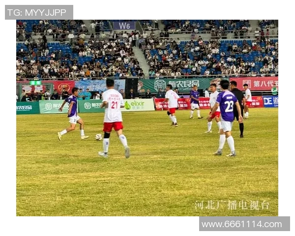 衡水足球明星的名字盘点与成就分析