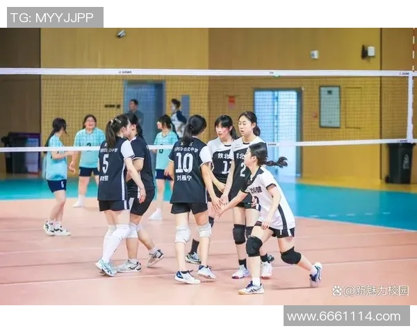 南京排球队的辉煌崛起与钻石联赛的精彩旅程