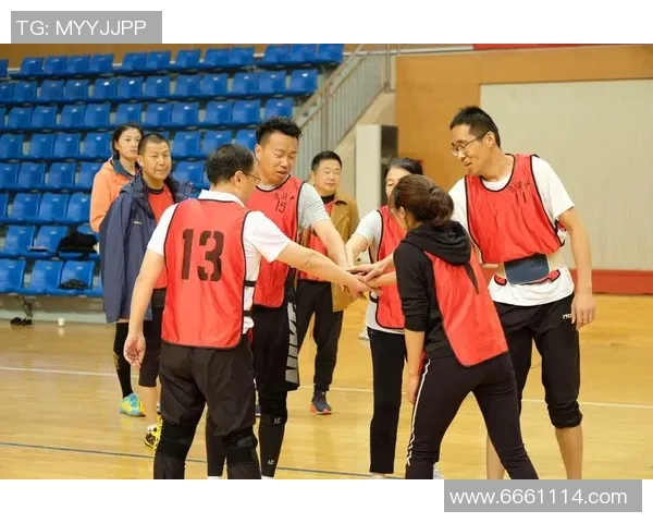 排球团队协作实力榜单揭晓北京排球队荣获第二名佳绩