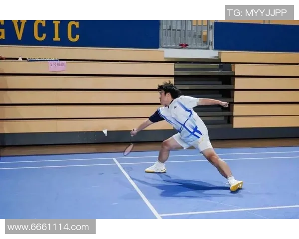 武汉羽毛球队的拼搏之路：一段不屈不挠的奋斗纪实与荣耀回顾